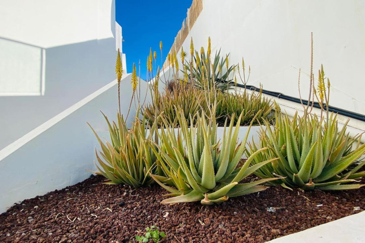 Tenerife.365 Atalaya Court II Sunset Ocean View Costa Adeje  Exterior photo