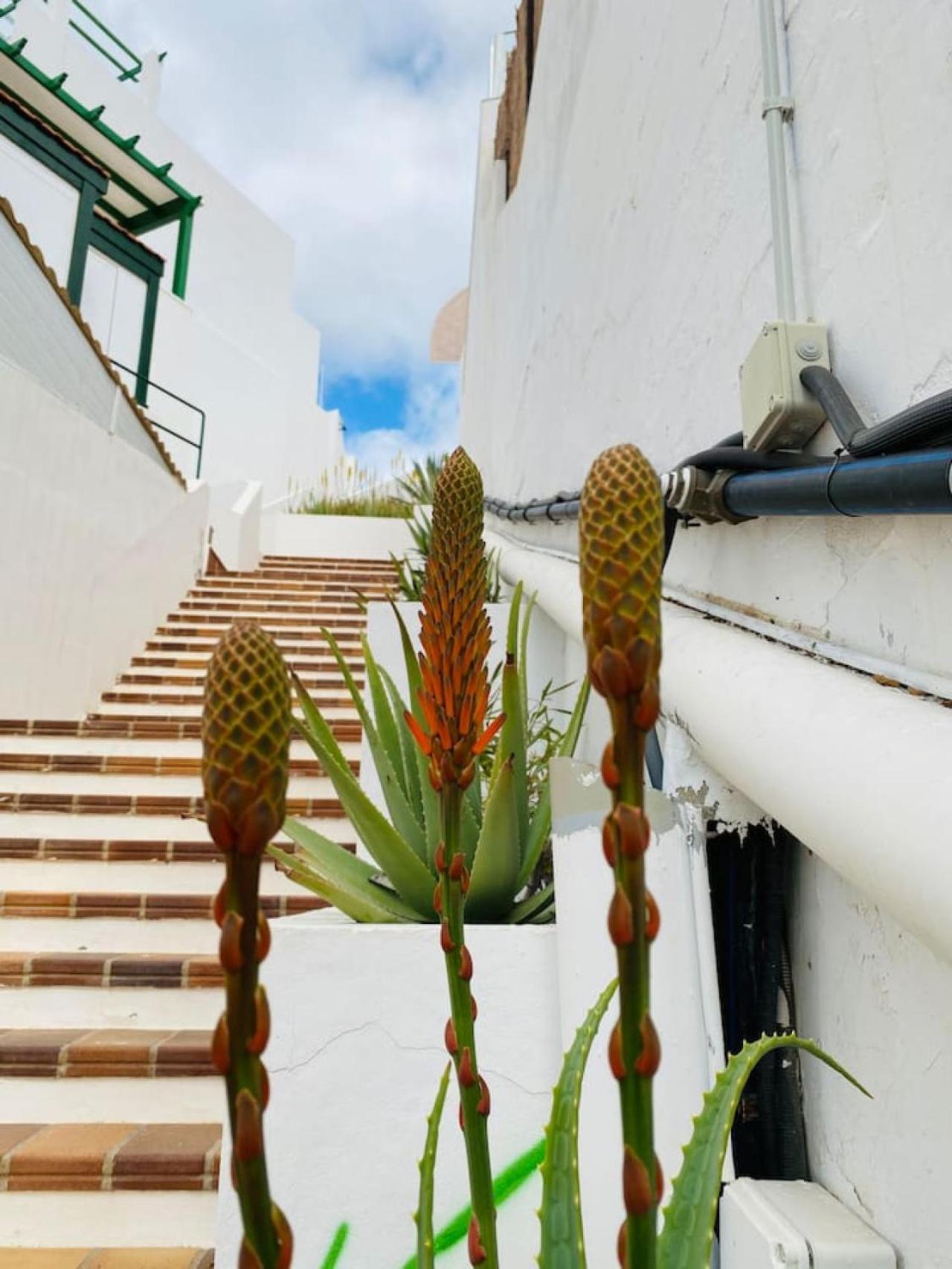 Tenerife.365 Atalaya Court II Sunset Ocean View Costa Adeje  Exterior photo